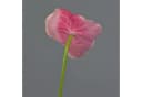 artplants Kunstblume Flamingoblume Moira pink-rosa 75cm Bild 5