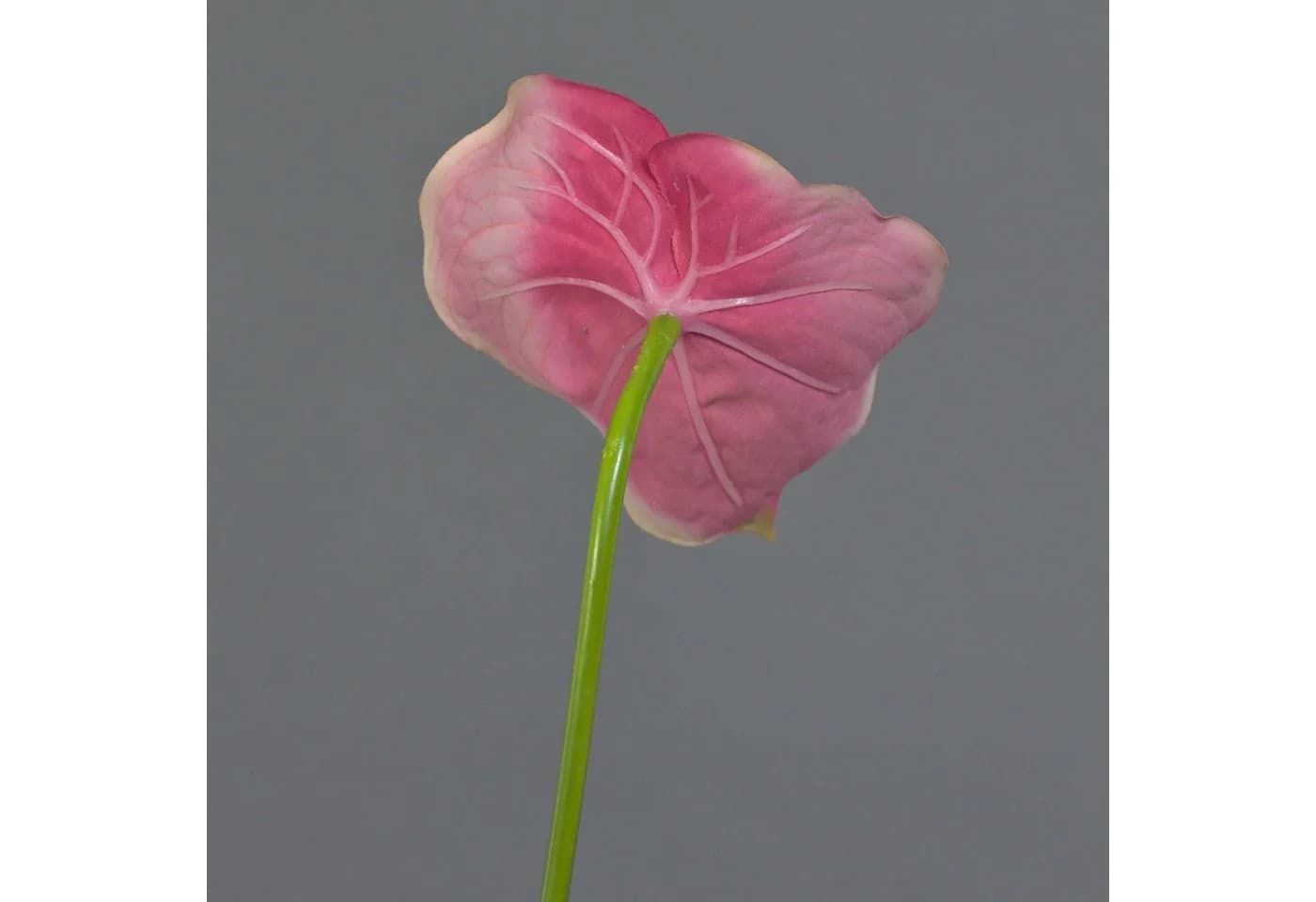 artplants Kunstblume Flamingoblume Moira pink-rosa 75cm - Bild 5