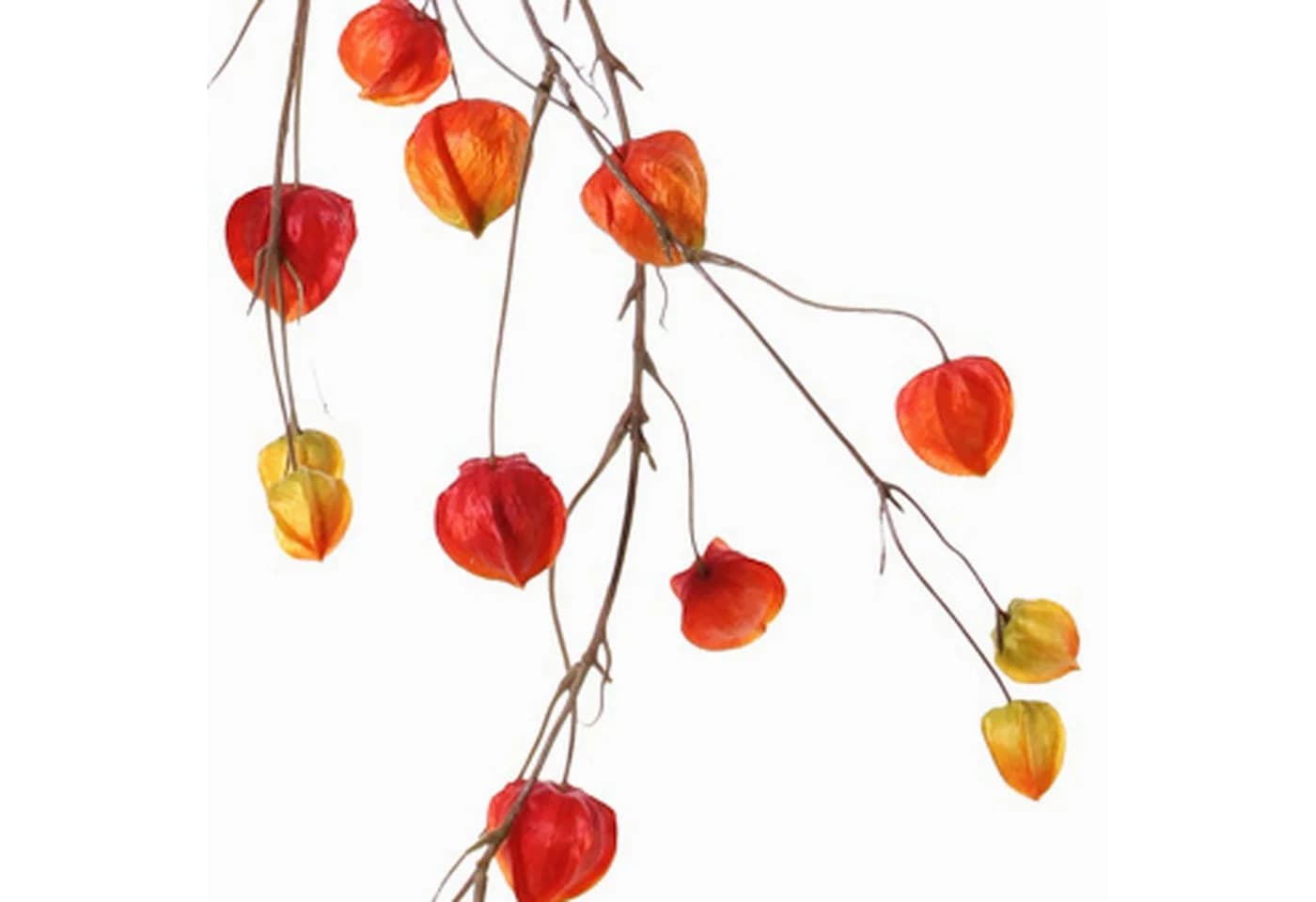 Kunstgirlande Physalis rot-orange 120cm von artplants - Bild 3