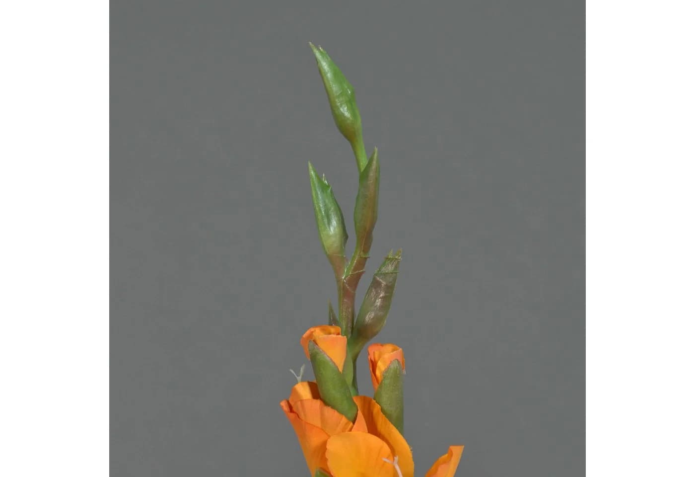 artplants Kunstblume Gladiole ELEA Orange 80 cm - Bild 4
