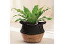 Praknu Aufbewahrungskorb Blumentopf Seegras Baumwolle Schwarz Klein Bild 2