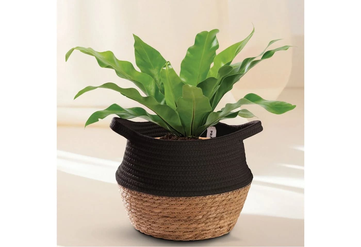 Praknu Aufbewahrungskorb Blumentopf Seegras Baumwolle Schwarz Klein - Bild 2