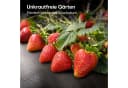 Praknu Gartenvlies Unkrautvlies 100g/m² 50m² Schwarz UV-Stabil Bild 5