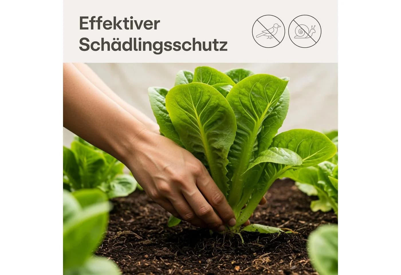 Praknu Gartenvlies 20m² UV-stabil Weiß - Bild 4