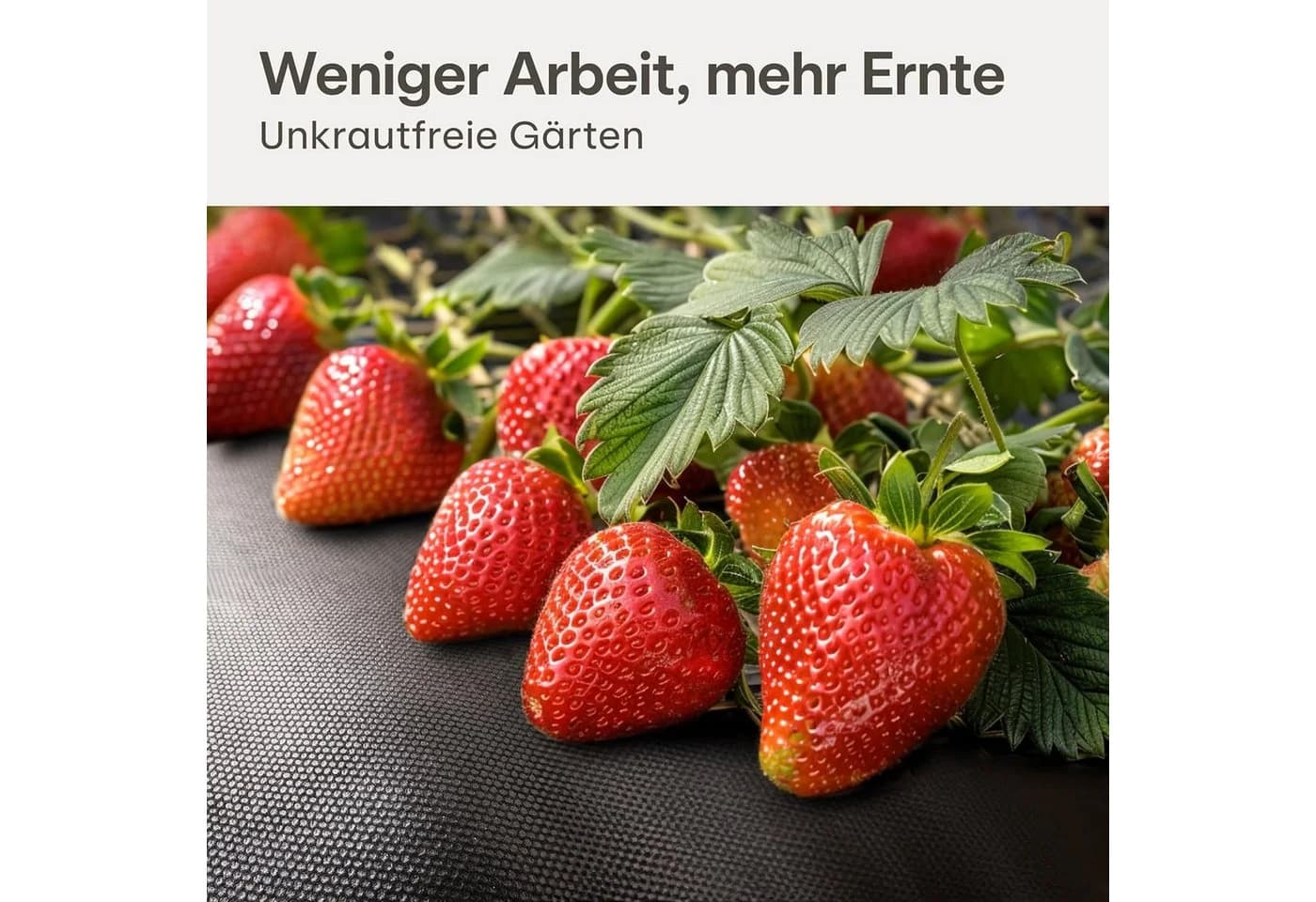 Praknu Unkrautvlies 100g/m² 10m² Schwarz mit 8 Erdankern