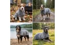 Betz Hundehandtuch Grau 100% Baumwolle mit Klettverschluss Bild 1
