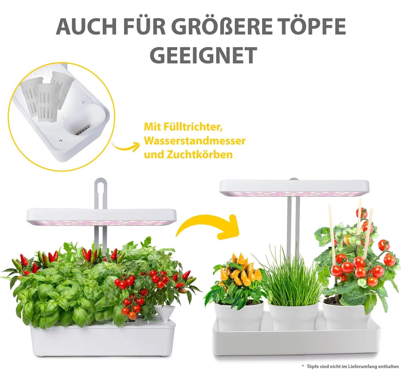 Northpoint LED Pflanzenlampe 22W 1350 Lumen mit 10 Töpfen Timer - Bild 4