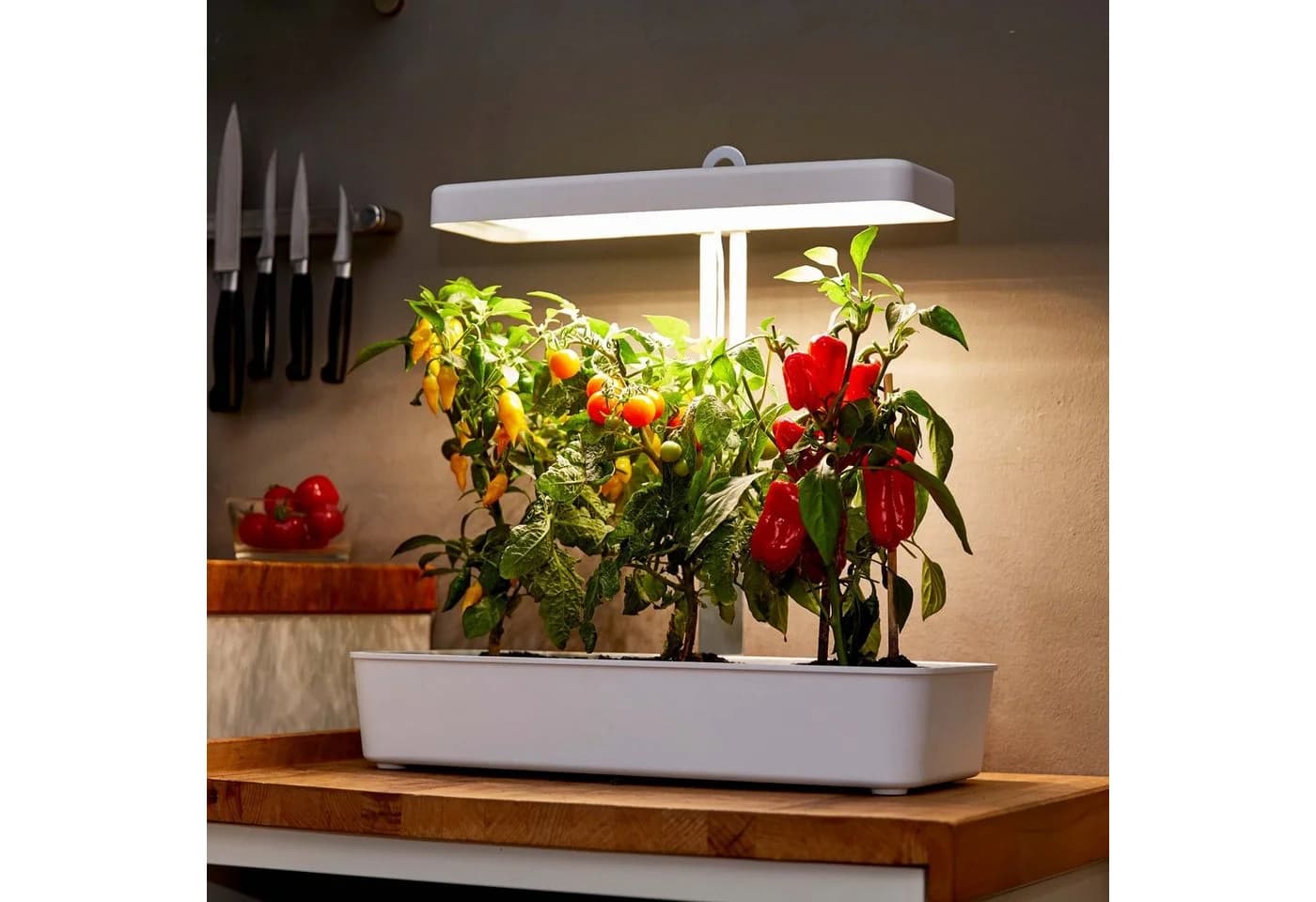 Northpoint LED Pflanzenlampe 22W 1350 Lumen mit 10 Töpfen Timer - Bild 5