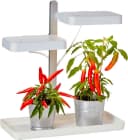 Northpoint LED Pflanzenlampe 30W Vollspektrum mit Timer Bild 2