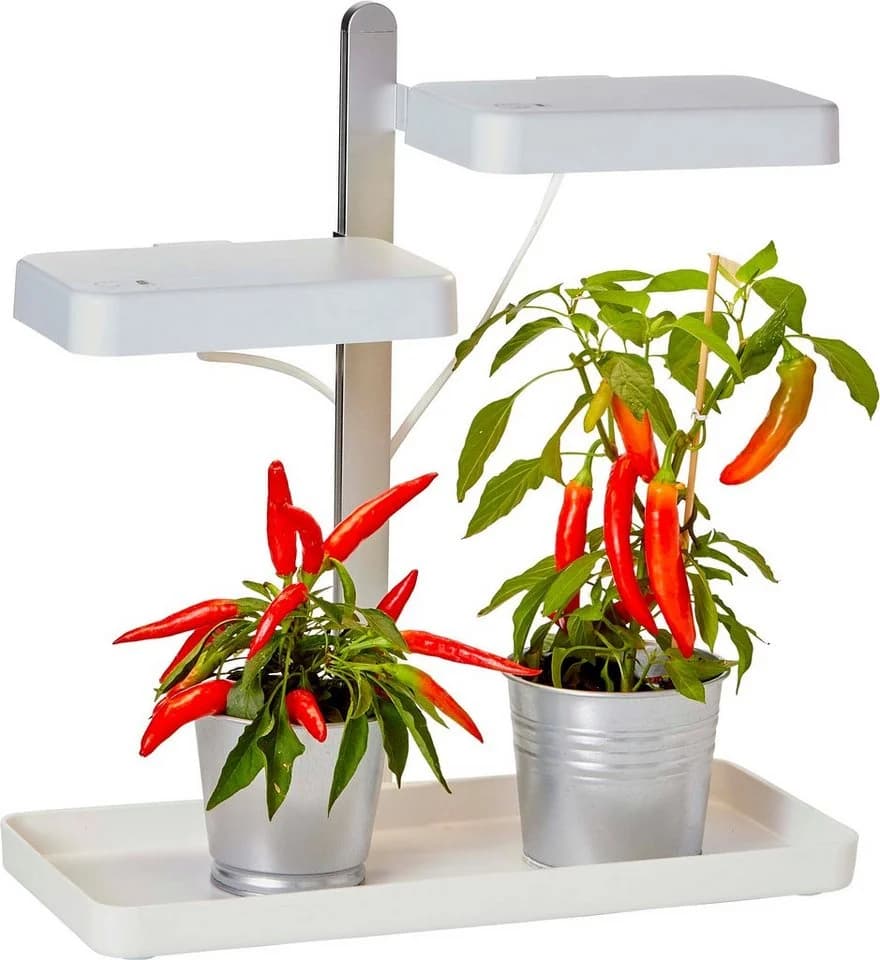 Northpoint LED Pflanzenlampe 30W Vollspektrum mit Timer - Bild 2