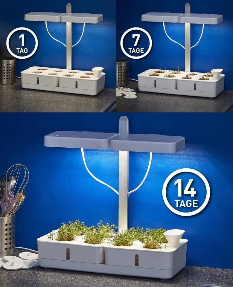 Northpoint LED Pflanzenlampe 30W Vollspektrum mit Timer - Bild 4