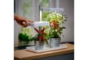 Northpoint LED Pflanzenlampe 30W Vollspektrum mit Timer Bild 5