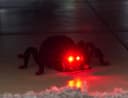 Northpoint Ferngesteuerte Halloween-Spinne mit Kletterfunktion Bild 4