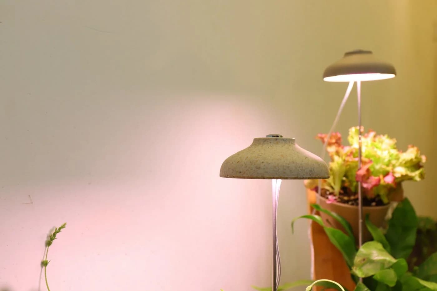 Northpoint Pflanzenlampe LED 7W 2er-Set mit Teleskopstock 70cm