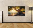 islandburner Leinwandbild Alter Olivenbaum im Sonnenunterganglicht Bild 1