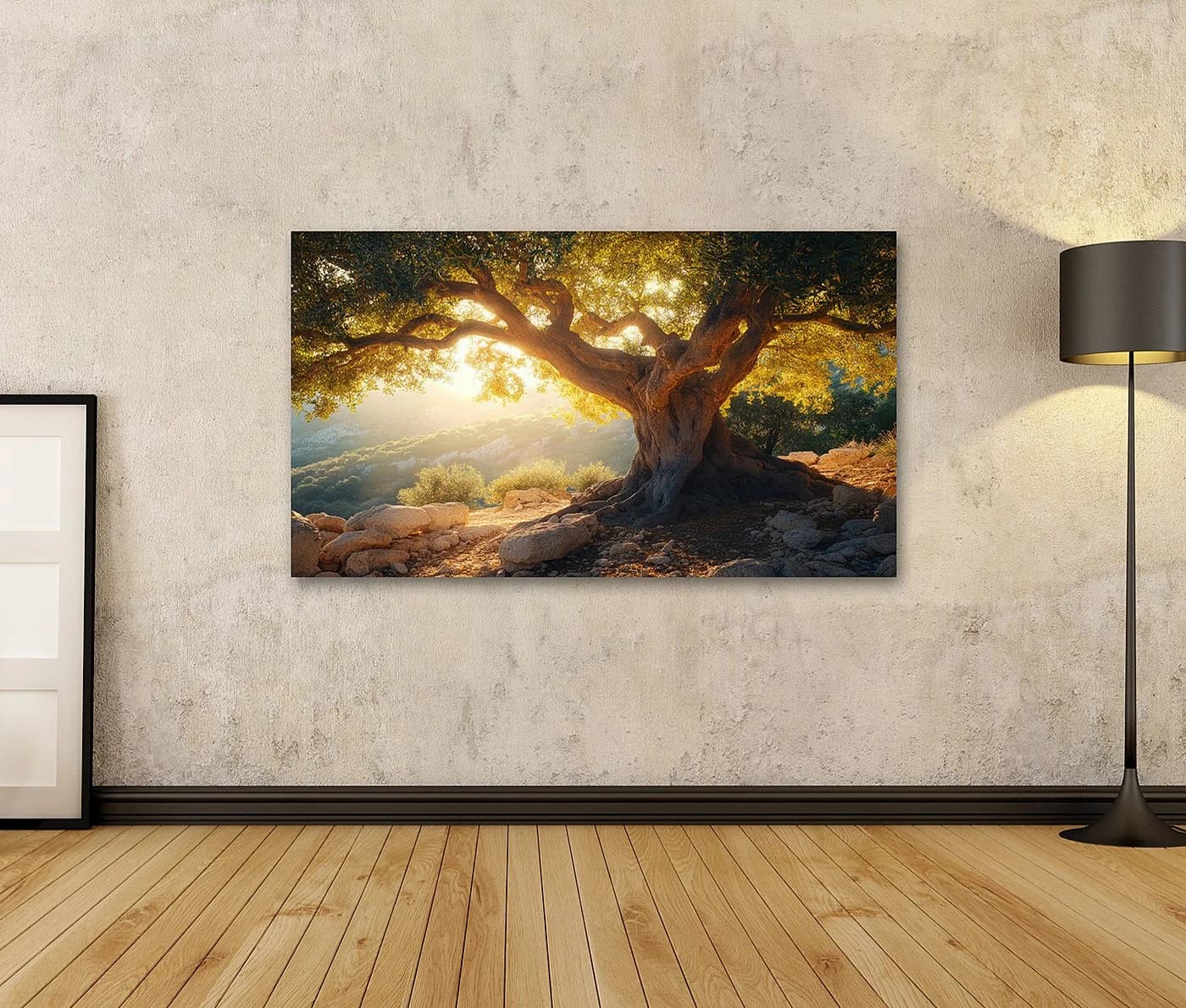 islandburner Leinwandbild Alter Olivenbaum im Sonnenunterganglicht