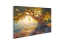 islandburner Leinwandbild Alter Olivenbaum im Sonnenunterganglicht Bild 2