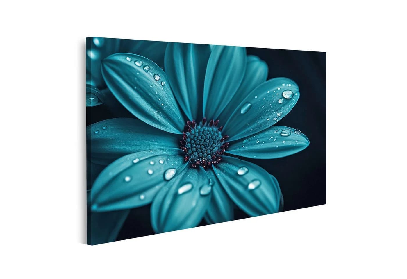 islandburner Leinwandbild Türkisfarbene Blume mit Wassertropfen - Bild 2