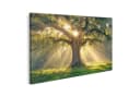 islandburner Leinwandbild Sonnenaufgang durch alte Eiche in mystischem Wald Bild 2