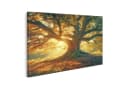 islandburner Leinwandbild Alte Eiche im Sonnenlicht Bunt Bild 2