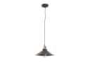 Licht-Erlebnisse Pendelleuchte DOVER Industrial Design Schwarz Bild 3