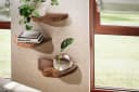 FINEBUY Wandregal 3er Set Akazie Vollholz mit Baumkante Bild 2