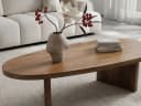 FINEBUY Couchtisch oval 120cm Mango Massivholz Braun Modern Bild 5