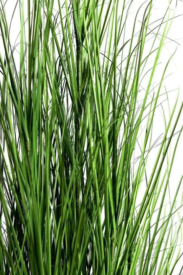 mucPlants Kunstgras im Topf 60/95/150 cm Schwarz - Bild 3
