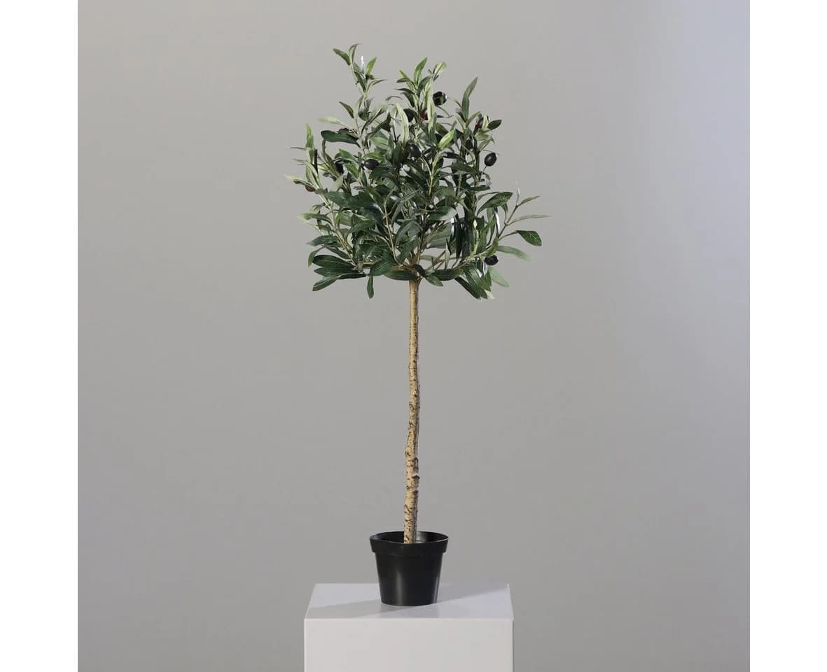 mucPlants Kunstbaum Olivenbaum 80cm Grün/Schwarz
