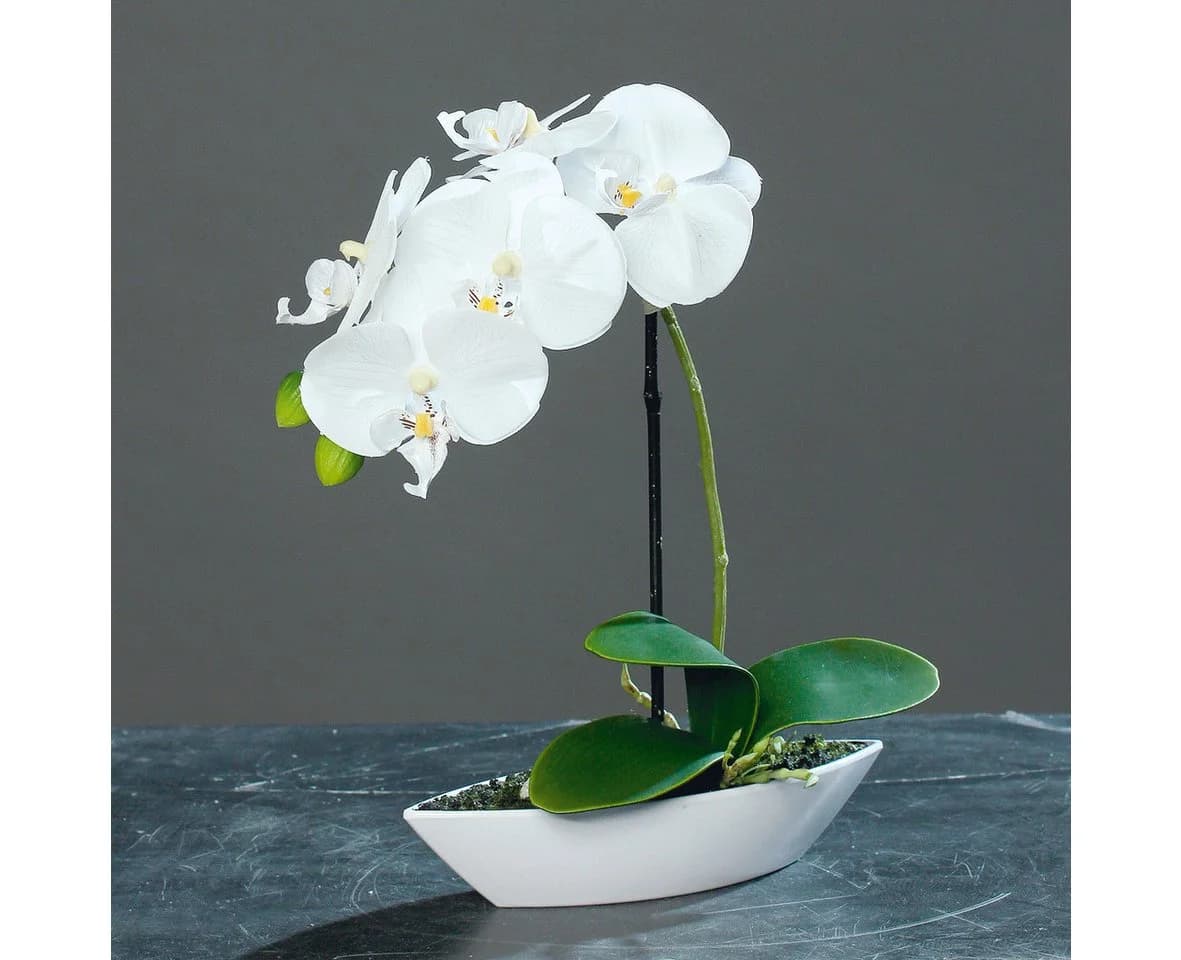 mucPlants Kunstorchidee 30cm Weiß Kunststoff-Schiffchen