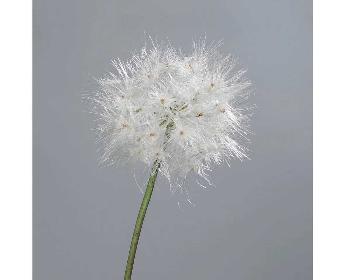 mucPlants Kunstblume Pusteblume Löwenzahn Grün/Weiß