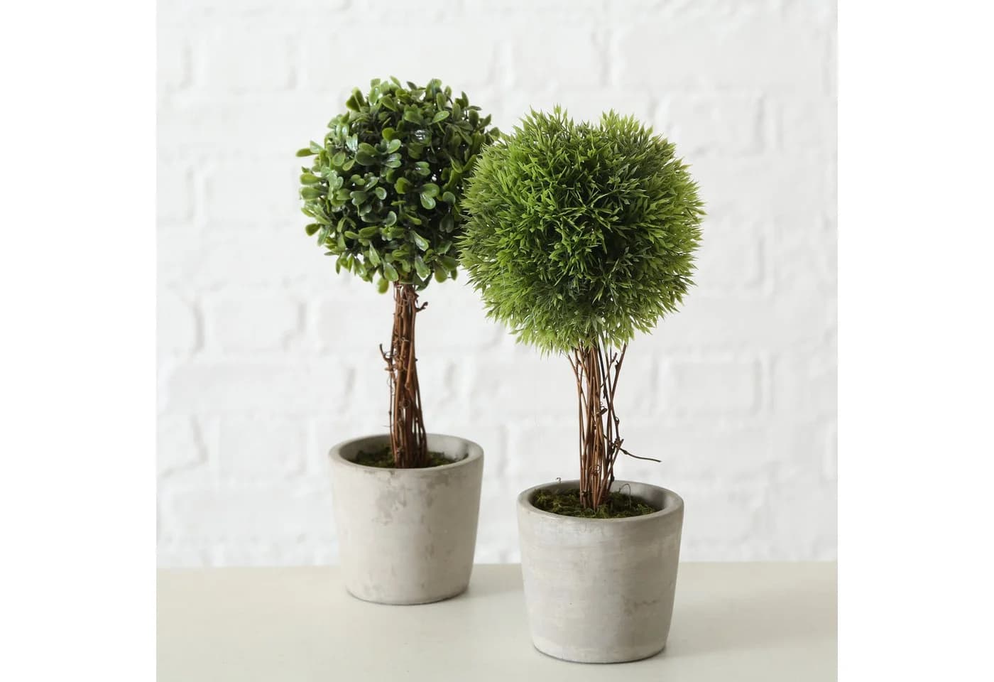 mucPlants 2er Set Kunstpflanzen Zementtopf Grau Grün - Bild 2