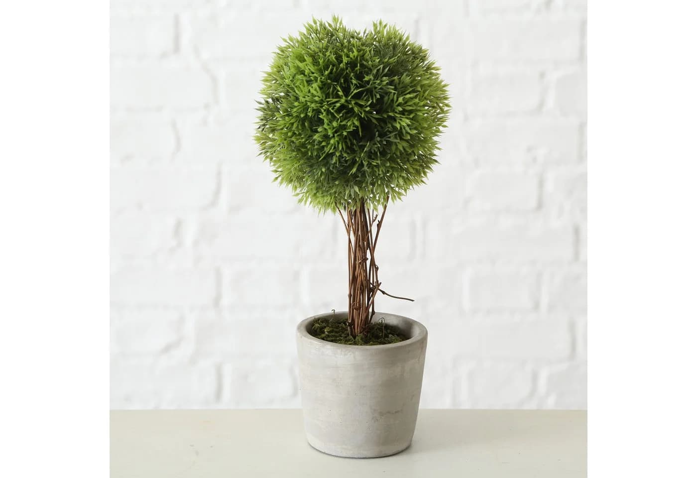 mucPlants 2er Set Kunstpflanzen Zementtopf Grau Grün - Bild 4