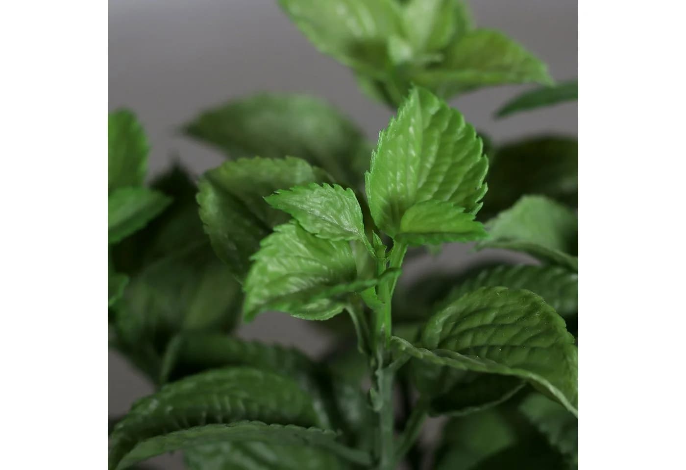 mucPlants Künstliche Kräuter 3er Set mit Zementtöpfen Grau