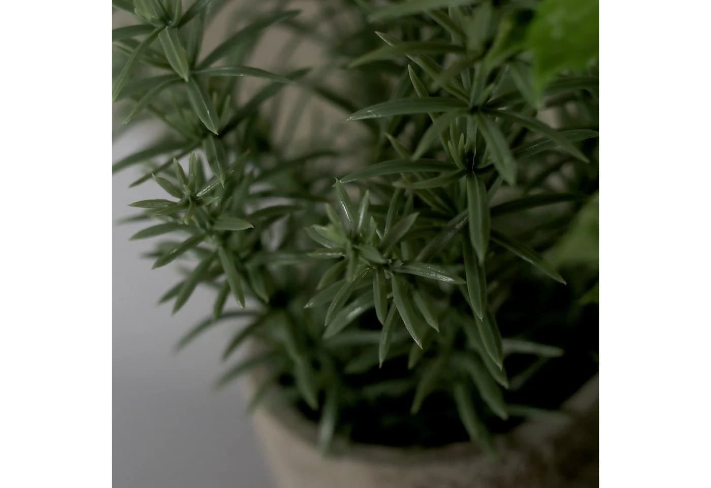 mucPlants Künstliche Kräuter 3er Set mit Zementtöpfen Grau - Bild 5