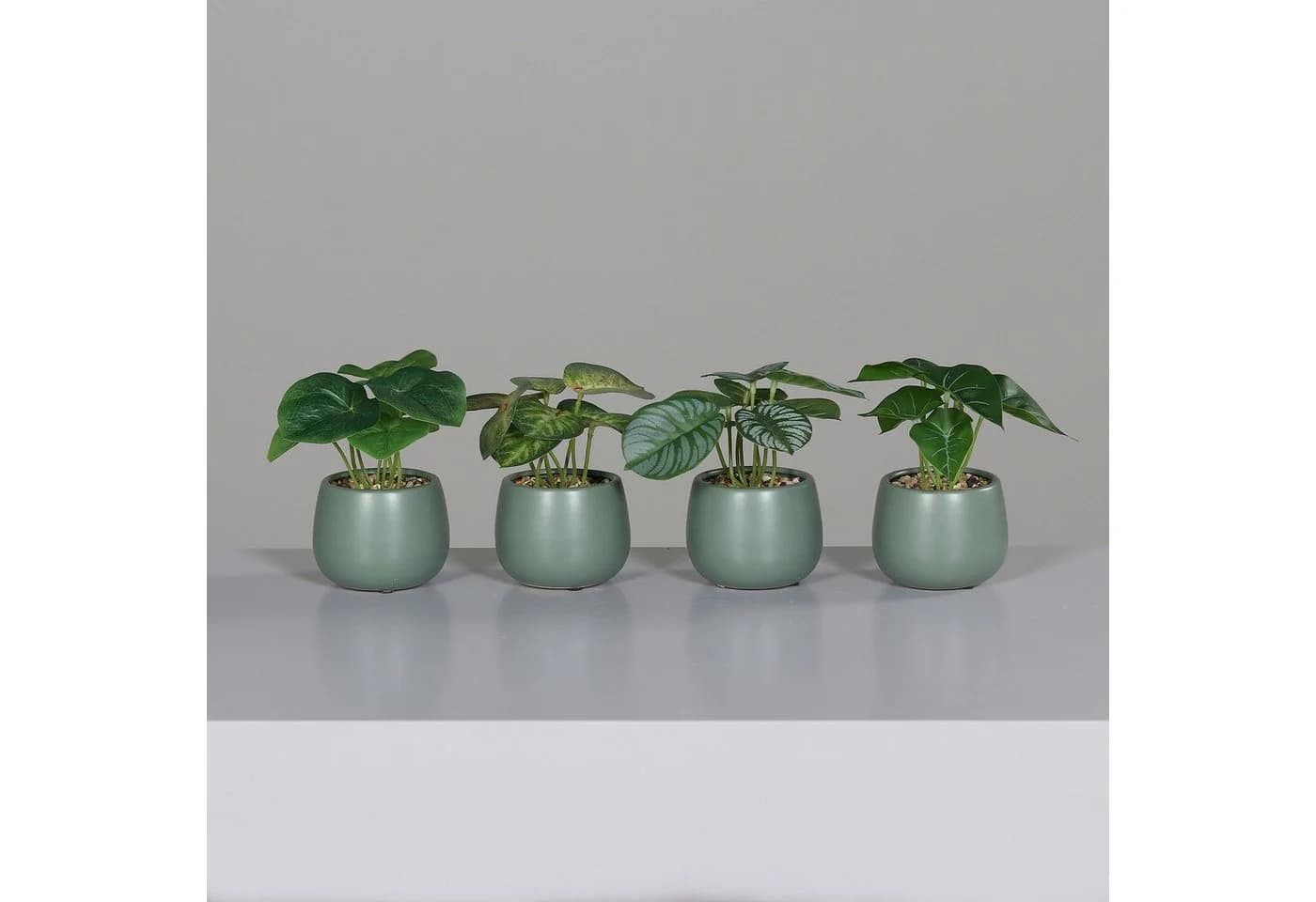 mucPlants 4-tlg. Kunstpflanzen Set mit Keramiktopf Grün - Bild 2
