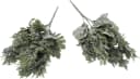 mucPlants Kunstpflanze Silberblatt 2er Set Grau/Silber Bild 2