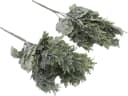 mucPlants Kunstpflanze Silberblatt 2er Set Grau/Silber Bild 3