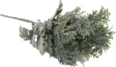 mucPlants Kunstpflanze Silberblatt 2er Set Grau/Silber Bild 4