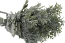 mucPlants Kunstpflanze Silberblatt 2er Set Grau/Silber Bild 5
