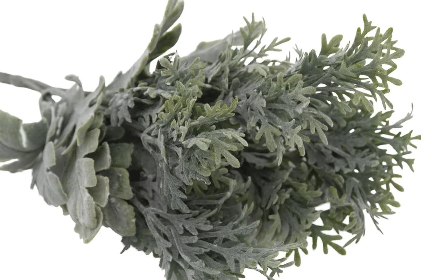 mucPlants Kunstpflanze Silberblatt 2er Set Grau/Silber - Bild 5