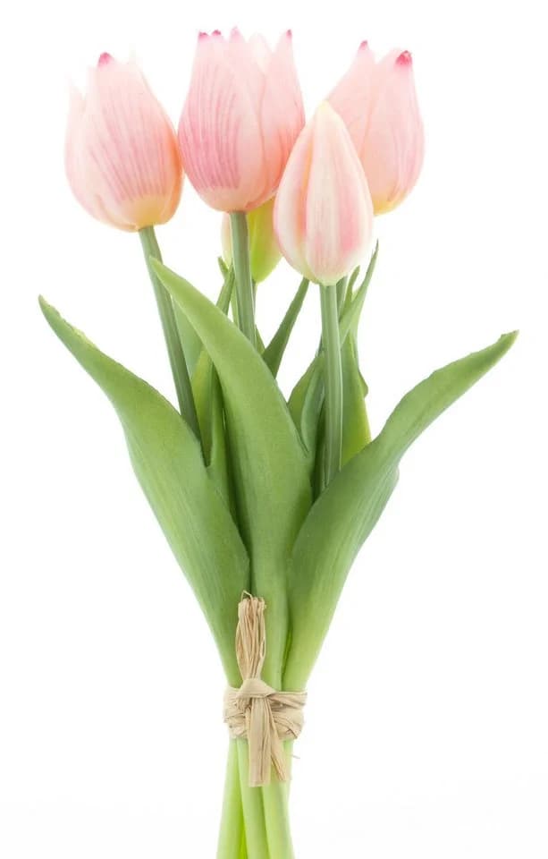 mucPlants Kunstblumenstrauß Tulpenbund 26cm Rosa Real Touch - Bild 2