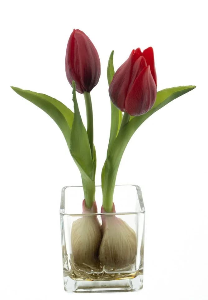 mucPlants Kunstblume Tulpen im Glas Rot ca. 19 cm