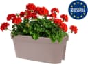 mucHome Balkonkasten für Geländer 60cm Kunststoff Blumenkasten Blumentopf Pflanztopf Bild 4