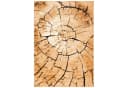 Pergamon Designteppich Samba Modern Nature Beige Braun Bild 1