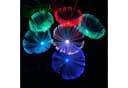 Online-Fuchs LED Laterne PUSTEBLUME Solarleuchte Gartenstecker Bild 5