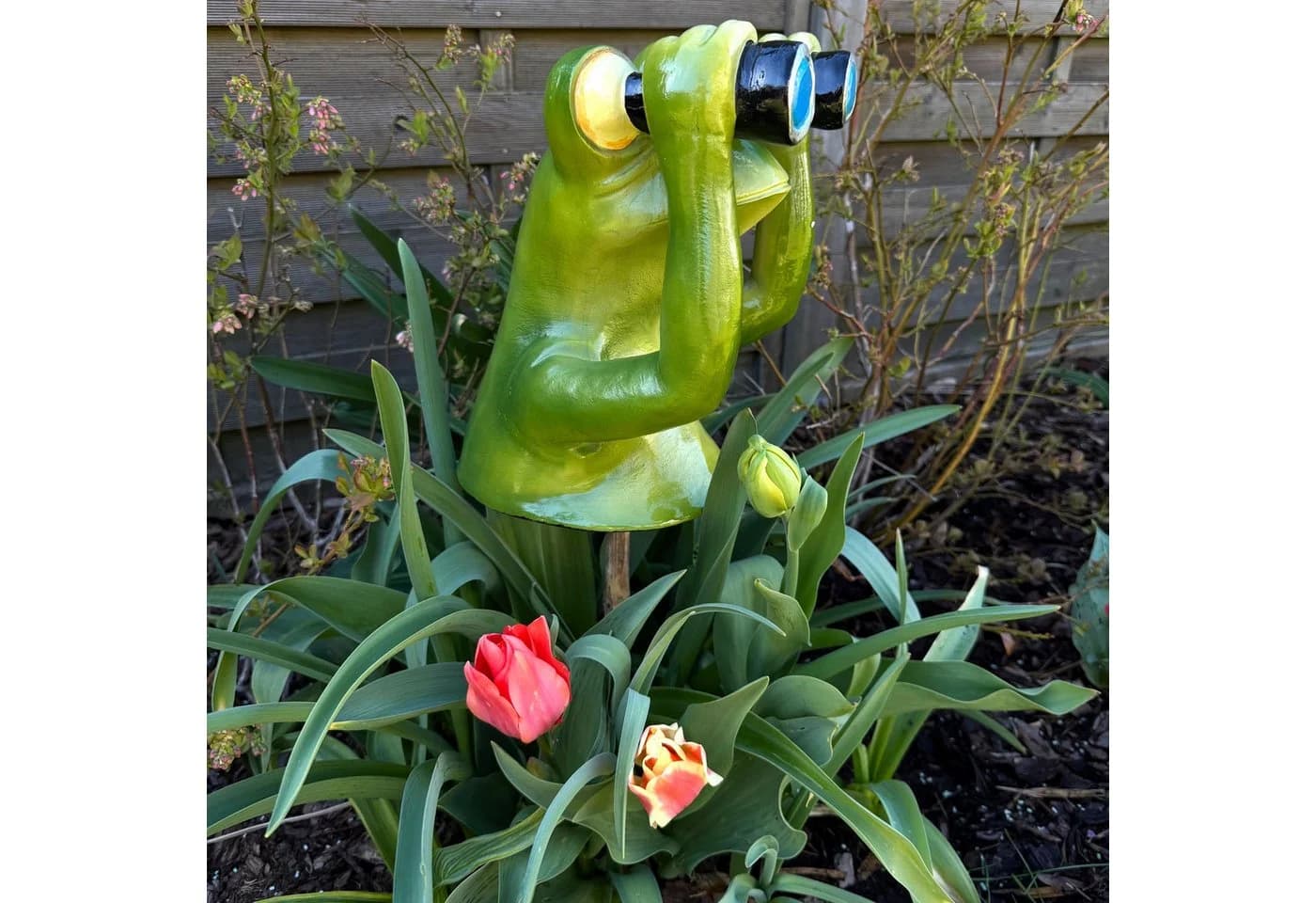 Online-Fuchs Frosch Gartenstecker mit Fernglas wetterfest - Bild 2