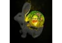 Online-Fuchs Gartenfigur süßer Hase mit LED Solar Glaskugel für draußen Bild 2