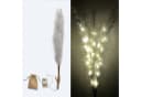 Kunstpflanze Pampasgras mit LED-Beleuchtung, Timer, 80-115 cm, Online-Fuchs Bild 2