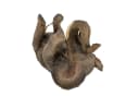 Online-Fuchs Weinflaschenhalter Elefant Beige Polyresin Bild 3